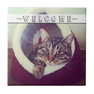 Tabby opnieuw plaatsen in Hut Close-up-foto Aangep Tegeltje