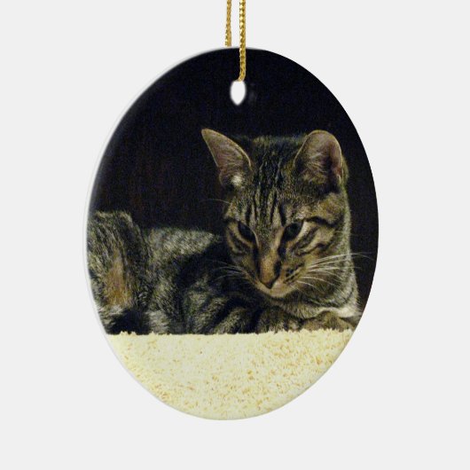 Tabby Ornament (Rechts)