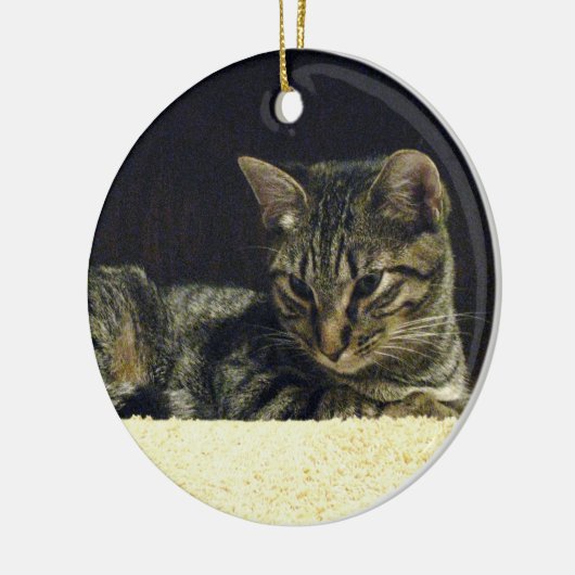 Tabby Ornament (Links)