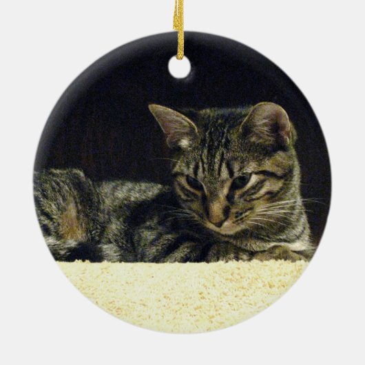 Tabby Ornament (Achterkant)