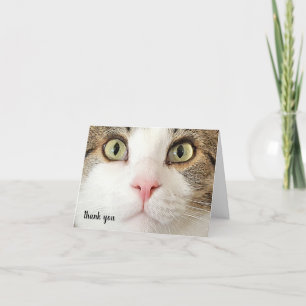 Tabby Pet Care Hartelijk dank Bedankkaart