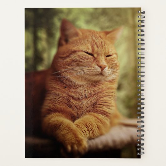 Tabby Planner (Achterkant)
