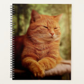 Tabby Planner (Voorkant)