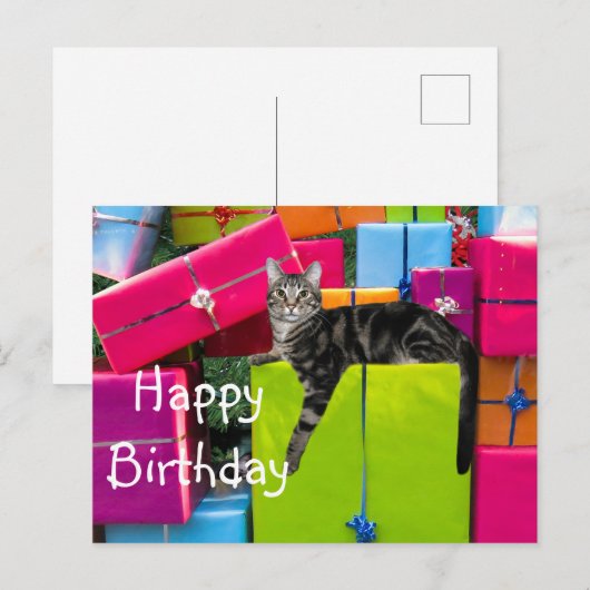 Tabby poes kat verjaardag briefkaart (Voorkant / Achterkant)