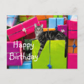 Tabby poes kat verjaardag briefkaart (Voorkant)