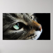 Tabby Poster (Voorkant)