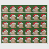 Tabby Santa Claus Cadeaupapier (Vlak)