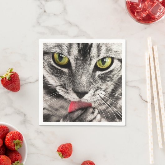 tabby servetten (Insitu)
