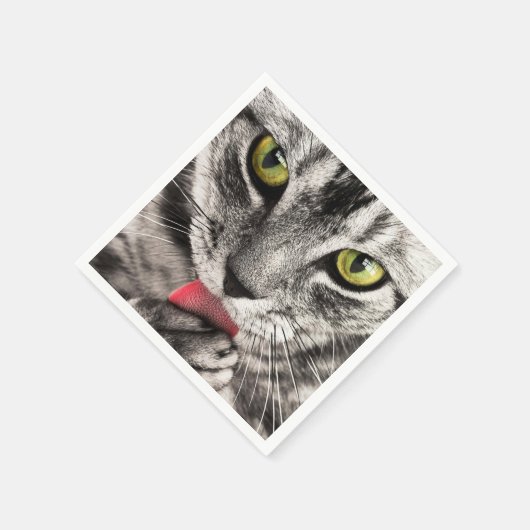 tabby servetten (Hoek)