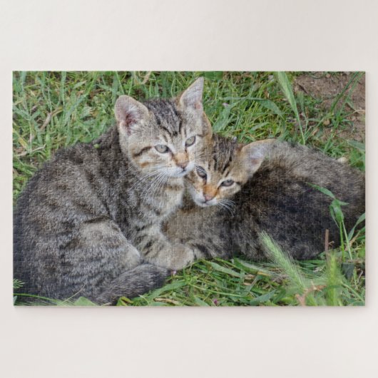 Tabby Sisters Jigzaag Puzzle Legpuzzel (Horizontaal)