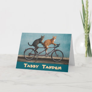 Tabby Tandem Kaart