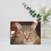 Tabby Tiger Cat Briefkaart (Staand voorkant)