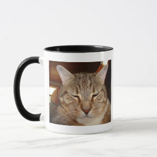 Tabby Tiger Cat Mok