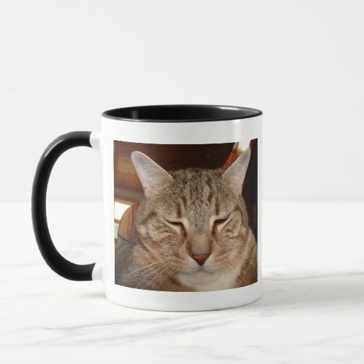 Tabby Tiger Cat Mok (Links)