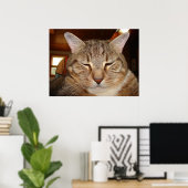 Tabby Tiger Cat Poster (Thuiskantoor)