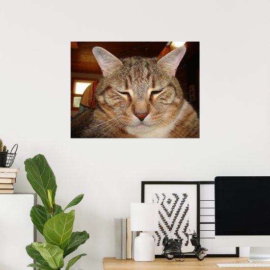 Tabby Tiger Cat Poster (Thuiskantoor)