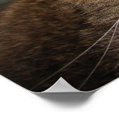 Tabby Tiger Cat Poster (Hoek)