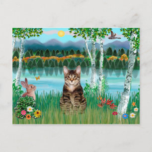 Tabby Tijgerkat - Berken Briefkaart