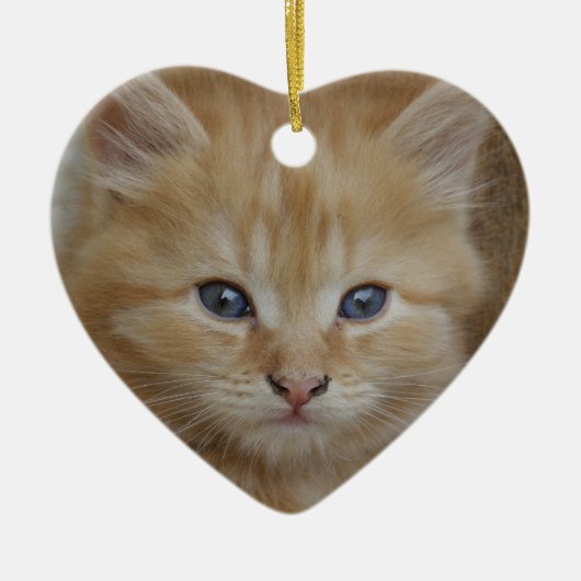Tabby Tomcat Kitten Keramisch Ornament (Voorkant)