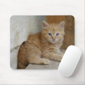 Tabby Tomcat Kitten Muismat (Met muis)