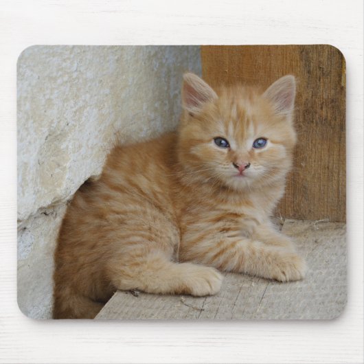 Tabby Tomcat Kitten Muismat (Voorkant)