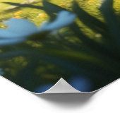 *~* TABBY TUIN Kitty Cat 5:4 katje Poster (Hoek)