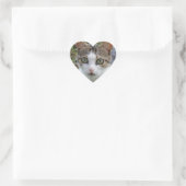 Tabby/White Cat Heart Sticker (Tas)