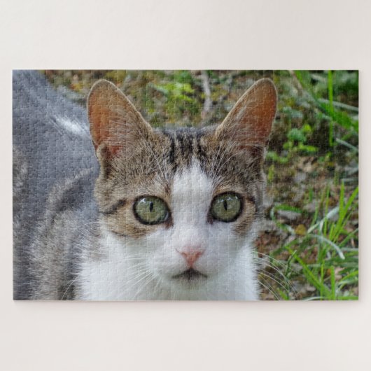 Tabby & Witte Kat Jigsaw Puzzel (Horizontaal)