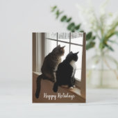 Tabby & Zwart-Witte Katten Raam Ansichtkaart Briefkaart (Staand voorkant)
