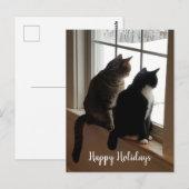Tabby & Zwart-Witte Katten Raam Ansichtkaart Briefkaart (Voorkant / Achterkant)