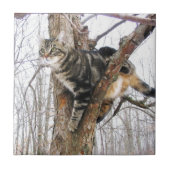 Tabbycat-Tegel Tegeltje (Voorkant)