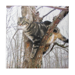 Tabbycat-Tegel Tegeltje