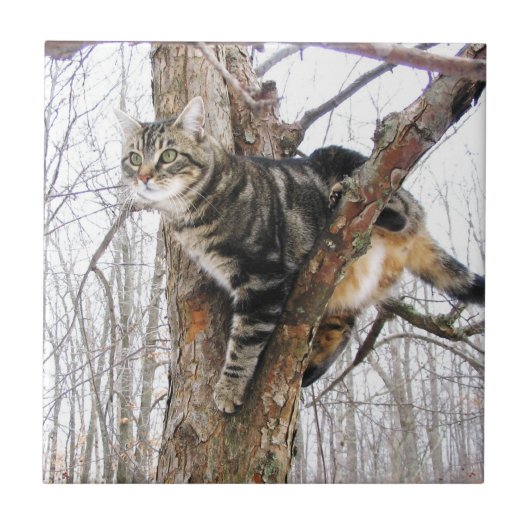 Tabbycat-Tegel Tegeltje (Voorkant)