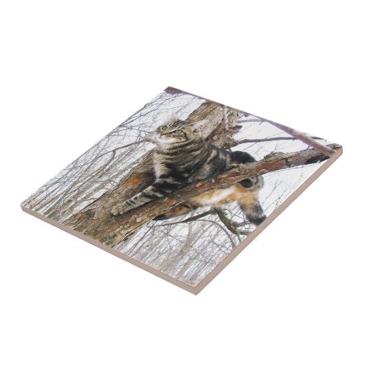 Tabbycat-Tegel Tegeltje (Zijkant)