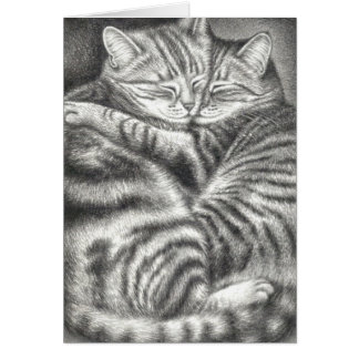 TABBYCATS HUGGGEN