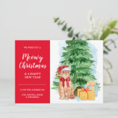 Tabbykat Goedkope Kerstmis Sinterklaas Hoed Kaart (Staand voorkant)