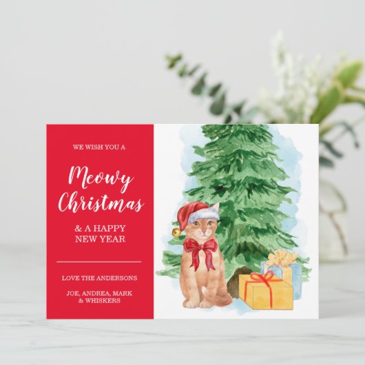 Tabbykat Goedkope Kerstmis Sinterklaas Hoed Kaart (Staand voorkant)