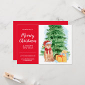 Tabbykat Goedkope Kerstmis Sinterklaas Hoed Kaart (Voorkant / Achterkant in situ)