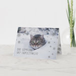 Tabbykat in witte sneeuwvlokken feestdagen kaart<br><div class="desc">De mooie kattenkat die in de witte wintersneeuw sluipt! kerstkaart voor katten en dierenvrienden. Pas je eigen vakantiebericht aan.</div>