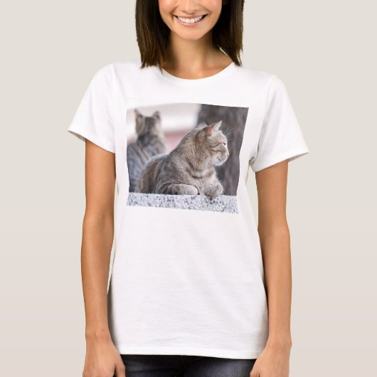 Tabbykatten in repose t-shirt (Voorkant)