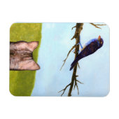 Tabbykatten praten met vogels magneet (Horizontaal)