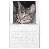 Tabbykattenkalender Kalender (Mar 2027)