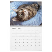 Tabbykattenkalender Kalender (Jan 2027)