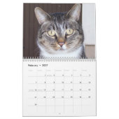 Tabbykattenkalender Kalender (Feb 2027)