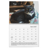 Tabby's Place Calendar 2022 Kalender (Mar 2027)