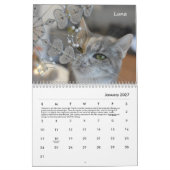 Tabby's Place Calendar 2022 Kalender (Jan 2027)