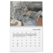 Tabby's Place Calendar 2022 Kalender (Jan 2026)