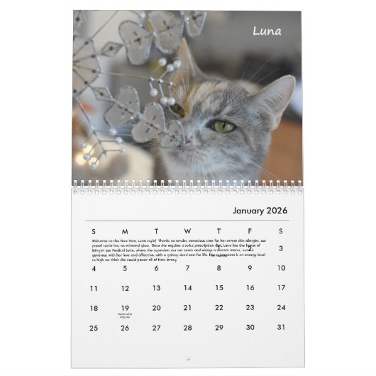 Tabby's Place Calendar 2022 Kalender (Jan 2026)