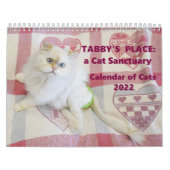 Tabby's Place Calendar 2022 Kalender (Hoes)