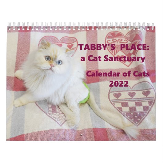 Tabby's Place Calendar 2022 Kalender (Hoes)